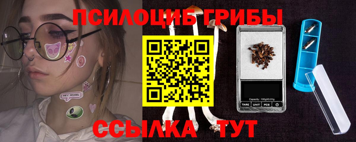 Орёл  Галлюциногенные грибы Psilocybine cubensis  Псилоцибиновые грибы Cubensis  Вход с VPN 